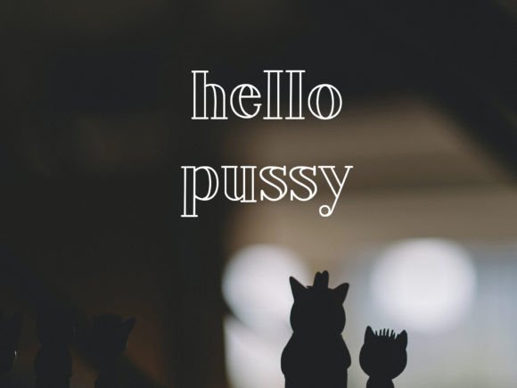 Hachi: A Funky Modern Display Font Worth Downloading